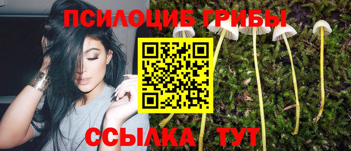 Псилоцибиновые грибы GOLDEN TEACHER  Вход с VPN  Ноябрьск 