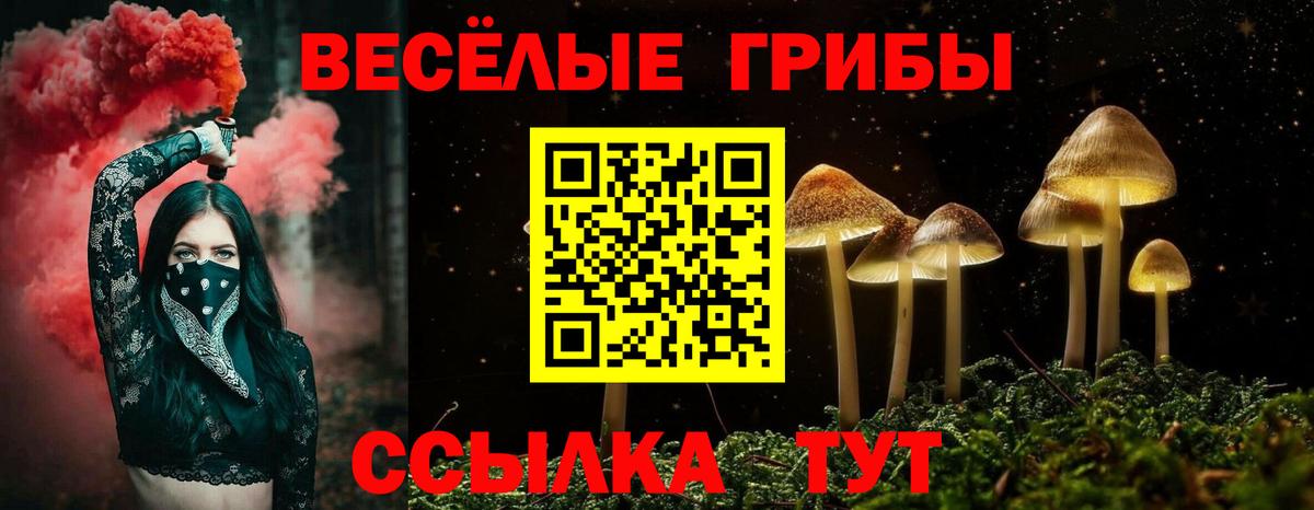 Галлюциногенные грибы прущие грибы Ноябрьск